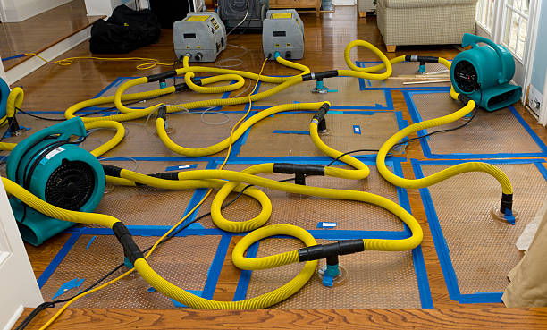 Professional Water Damage Repair technician working in Lawrence, IN